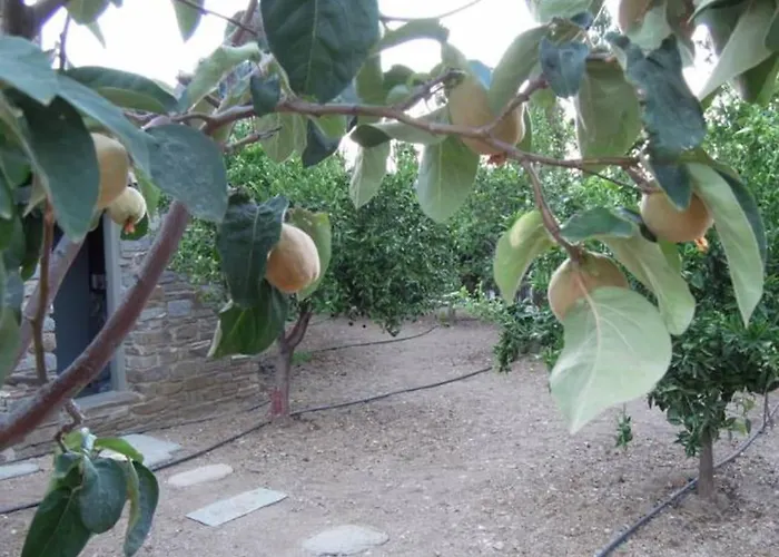Apartment Neso Seafront Paros Parasporos